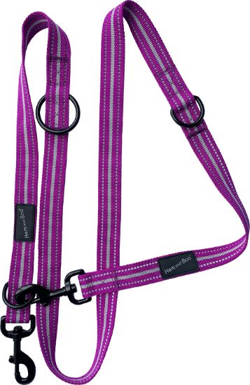 Hem & Boo Dog & Co Sports Double-Ended Training Lead Reflective Purple 2.5cm