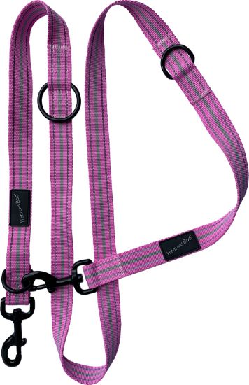 Hem & Boo Dog & Co Sports Double-Ended Training Lead Reflective Pink 2.5cm