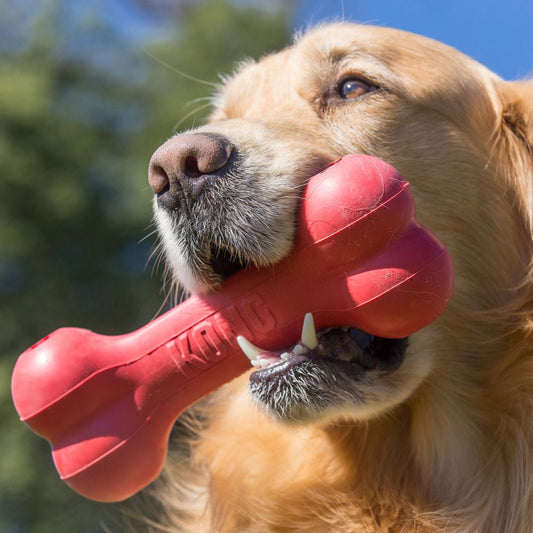 KONG Red Rubber Goodie Bone