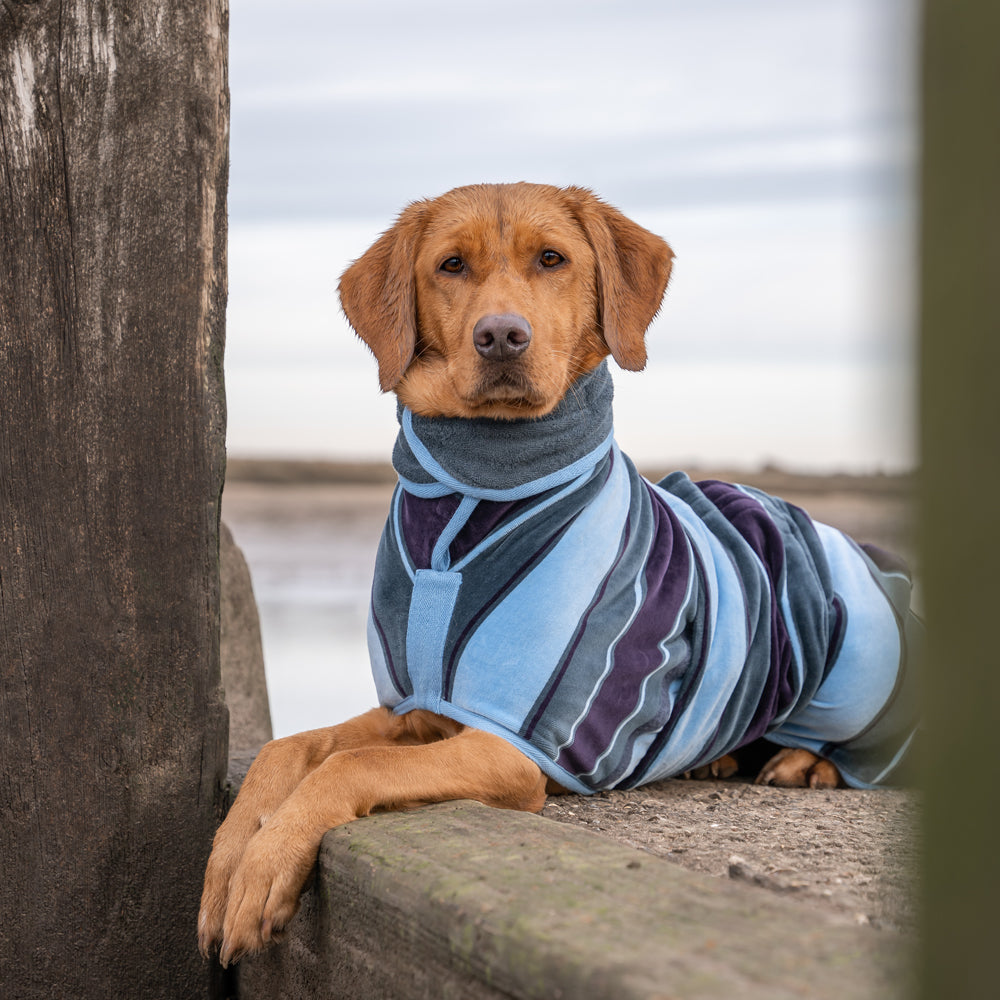 Ruff & Tumble Design Collection Dog Drying Coat Harbour
