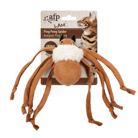 All For Paws Lam Ping Pong Spider Assorted