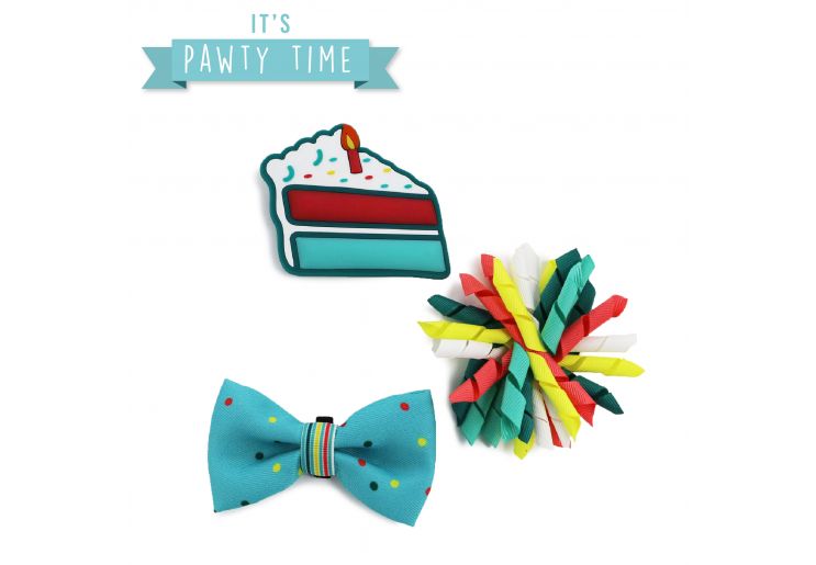 Ancol It's Pawty Time Birthday Collar Accessory