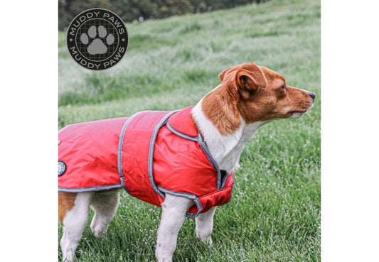 Ancol Stormguard Dog Coat Chest Protector Poppy Red
