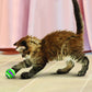 KONG Cat Active Tennis Balls with Bells