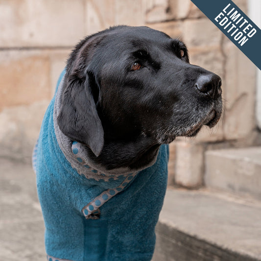 Ruff & Tumble Special Edition Dog Drying Coat Teal/Flint with Dots