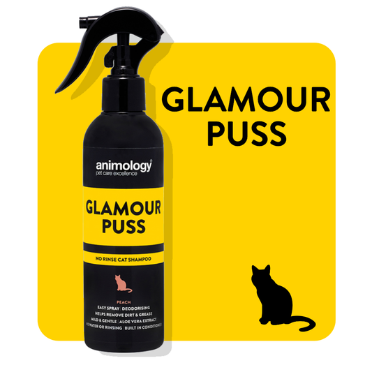 Animology Glamour Puss No Rinse Cat Shampoo Peach 250ml