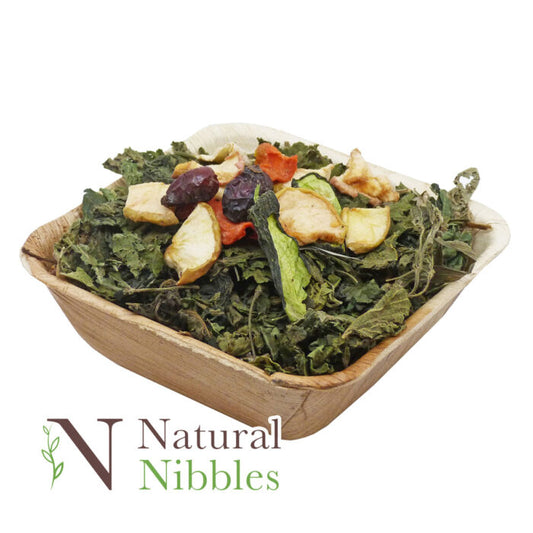 Natural Nibbles Healthy Salad Bowl 40g