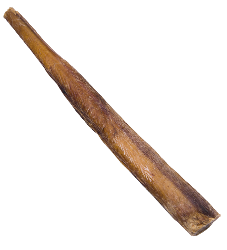 Antos Bully Pizzle Stick (24cm)