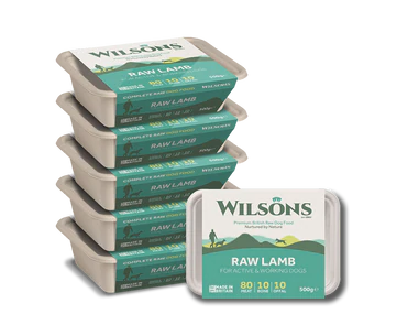 Wilsons Core Raw Frozen Lamb 80/10/10 Tub (500g)