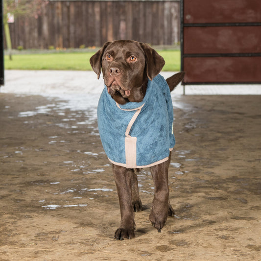 Ruff & Tumble Classic Collection Dog Drying Coat Sandringham Blue