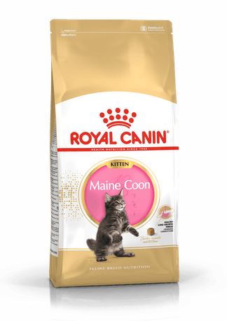 Royal Canin Maine Coon Kitten Dry Food